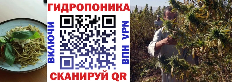 Cannafood конопля  Мичуринск 