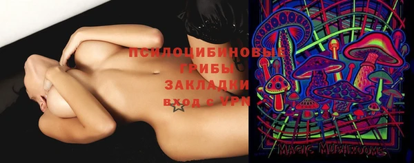 гашик Белоозёрский
