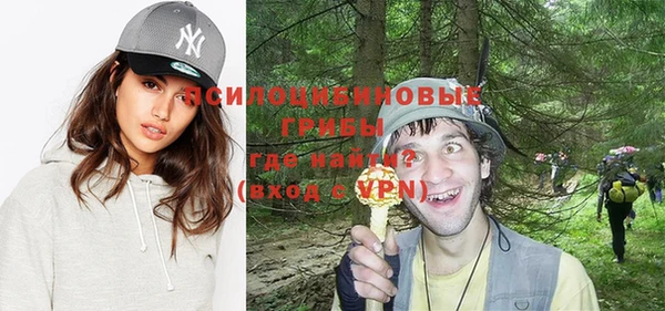 не бодяженный Белокуриха
