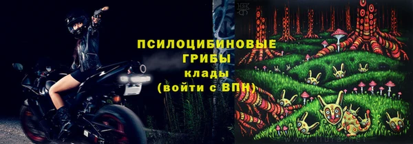 гашик Белоозёрский
