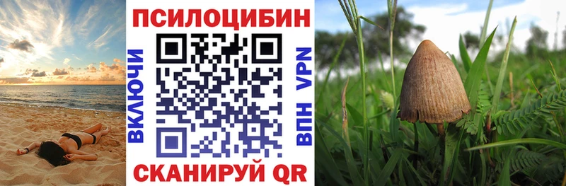 блэк спрут ТОР  Мичуринск  Галлюциногенные грибы GOLDEN TEACHER  сколько стоит 